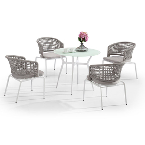 Birdies Metal Home Casual Leisure Ways Aluminum Rope Modern Big Lots Outdoor Furniture China