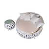 $299 Promotion Price Poolside Plastic Rattan Beach Sunbed